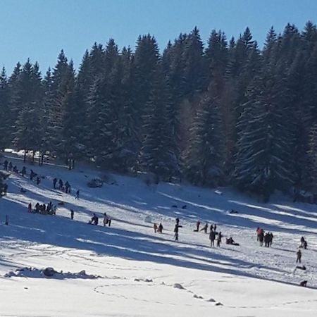 Apartman Zlatar-Vasiljevic Nova Varoš المظهر الخارجي الصورة