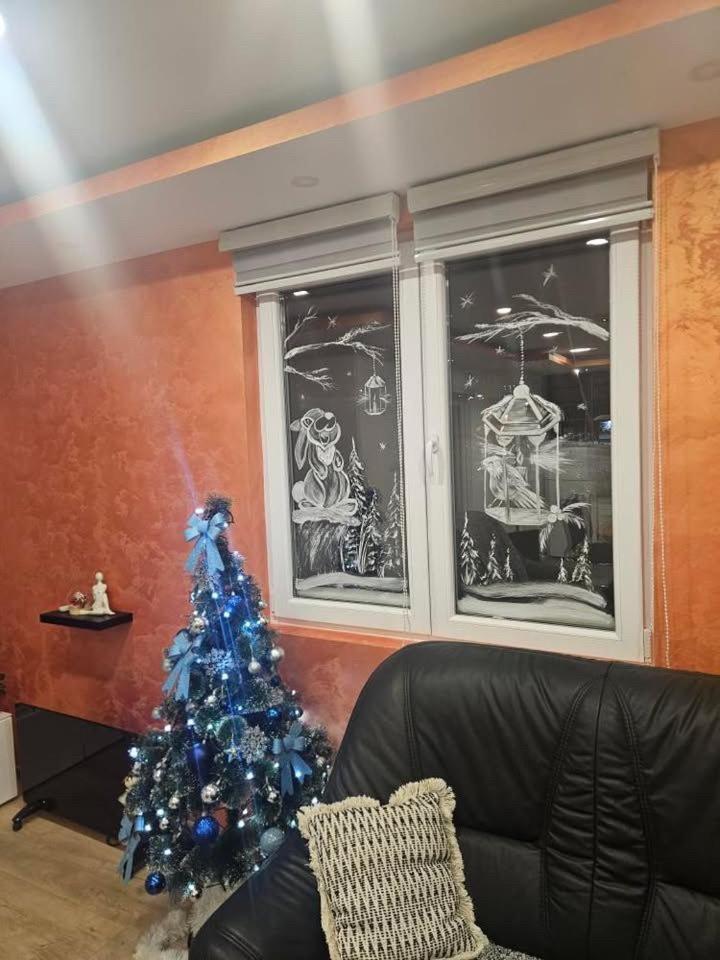 Apartman Zlatar-Vasiljevic Nova Varoš المظهر الخارجي الصورة