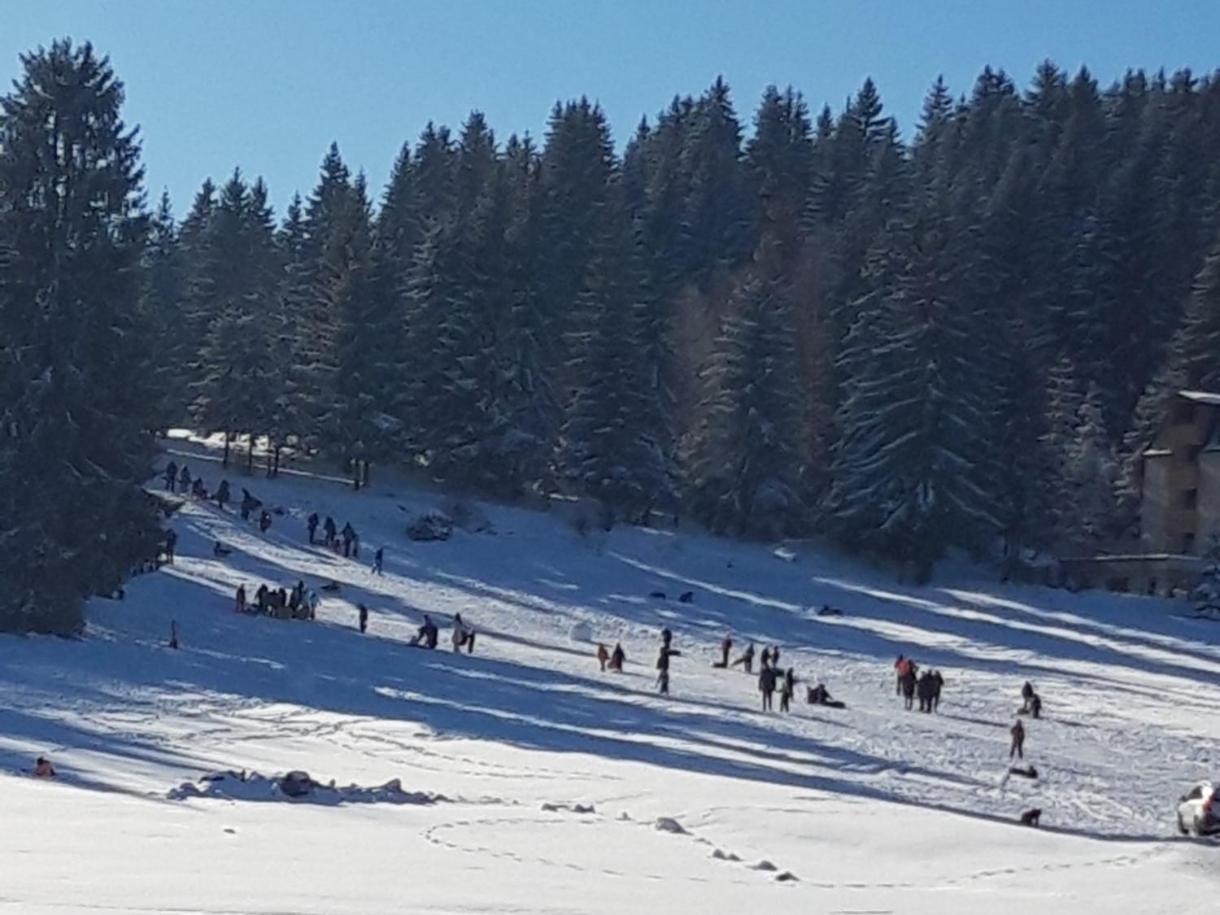 Apartman Zlatar-Vasiljevic Nova Varoš المظهر الخارجي الصورة